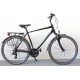 Capriolo Roadster / 21-k / 28" / 56cm