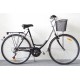 Classic Avenue / 6-k / 28" / 56cm