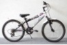 Bottecchia Boss / 6-k / 20"