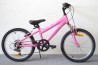 Pink Diamond / 6-k / 20"