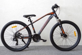 Insera X980 / 21-k / 26" / 39cm