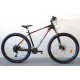 Bottecchia 125FX / 18-k / 53cm / 29"