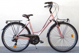 Bottecchia 223 Verde Natura / 21-k / 28" / 48cm