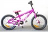 Scott Contessa / 1-k / 16"