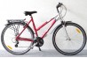 Diamant Pro / 24-k / 28" / 53cm