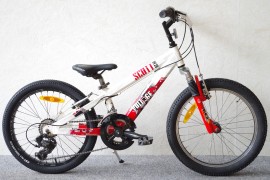 Scott Voltage / 14-k / 20"